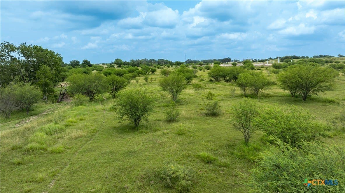 10.86 acres in DeWitt County - photo 17