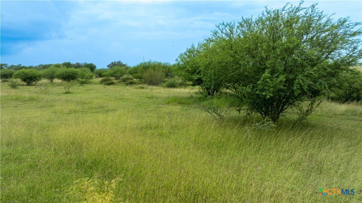10.86 acres in DeWitt County - photo 10
