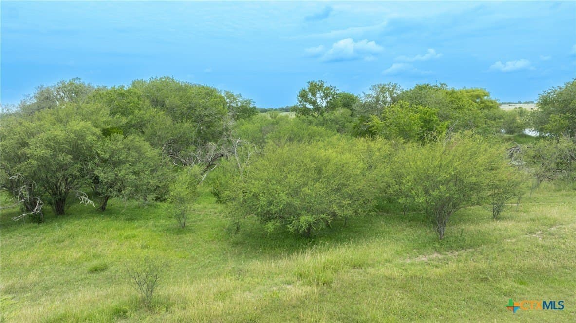 10.86 acres in DeWitt County - photo 14