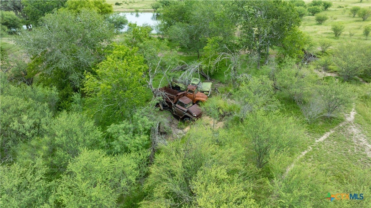 10.86 acres in DeWitt County - photo 4