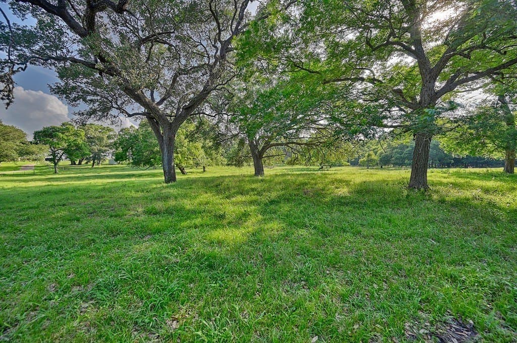 37.54 acres in Washington County - photo 9