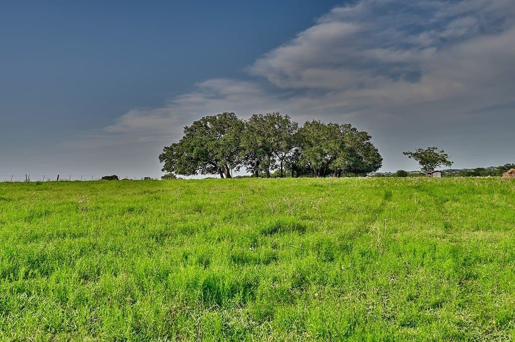 37.54 acres in Washington County - photo 8