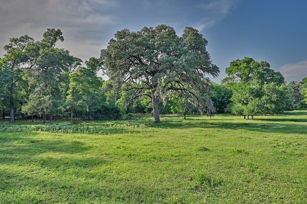 37.54 acres in Washington County - photo 10