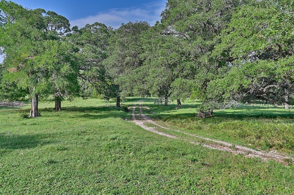 37.54 acres in Washington County - photo 3