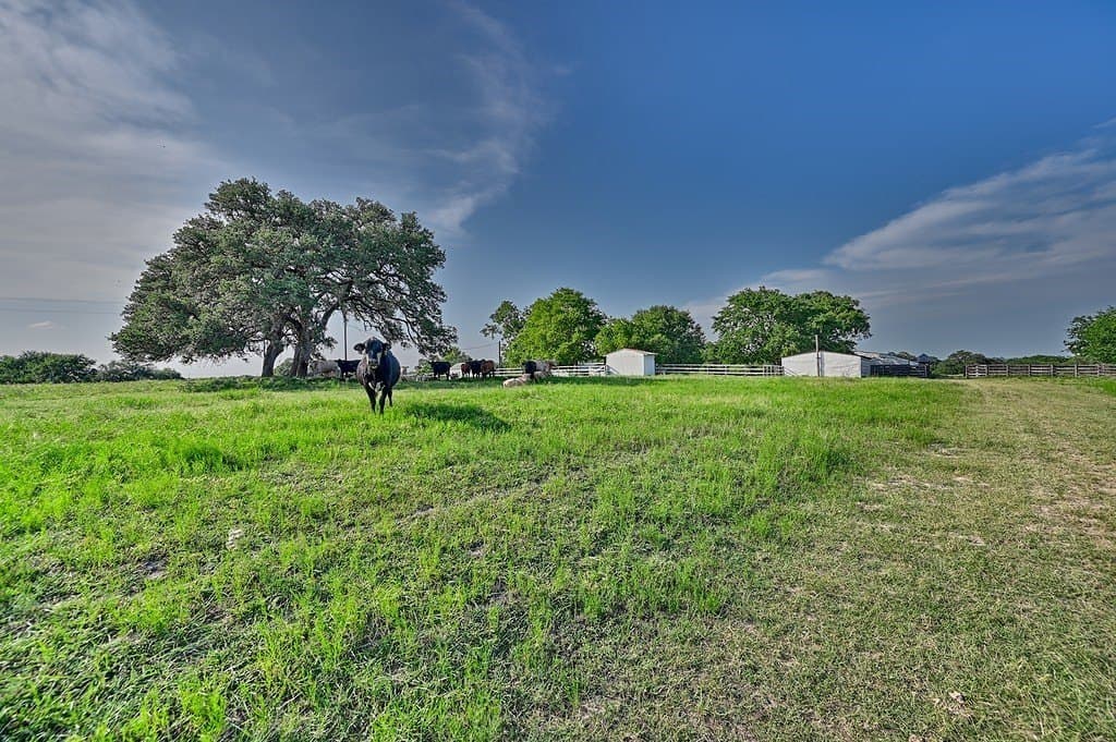 37.54 acres in Washington County - photo 6