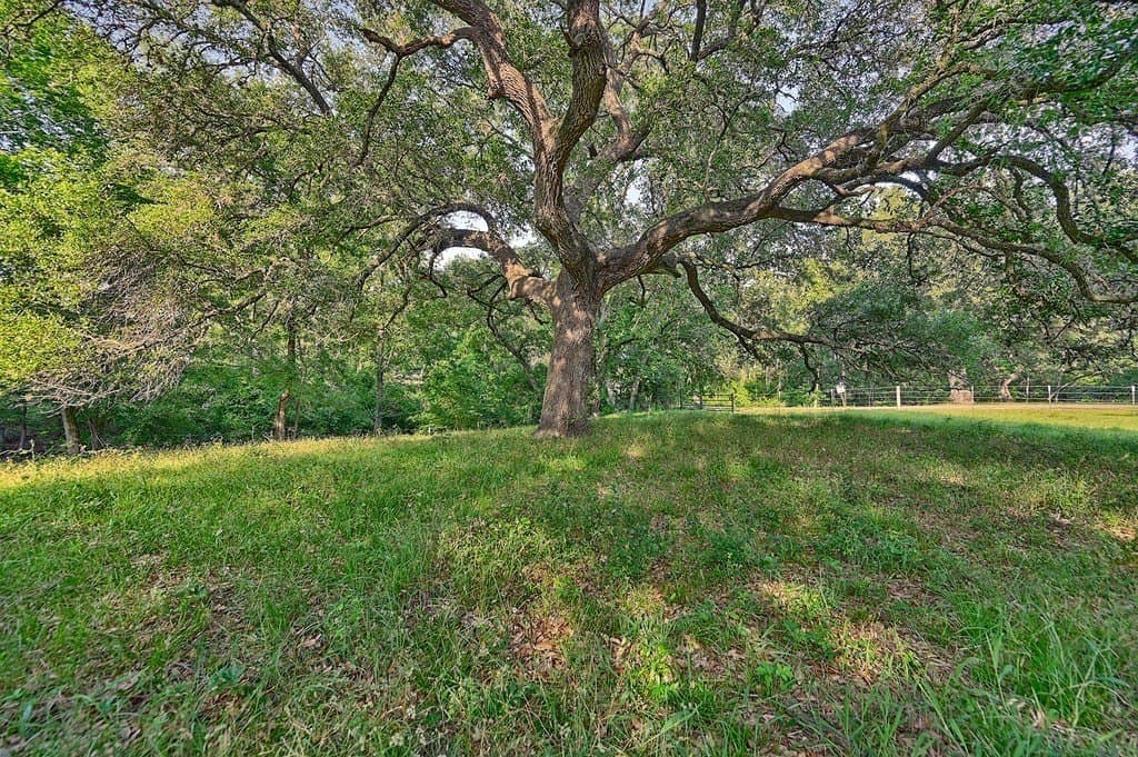 37.54 acres in Washington County - photo 5