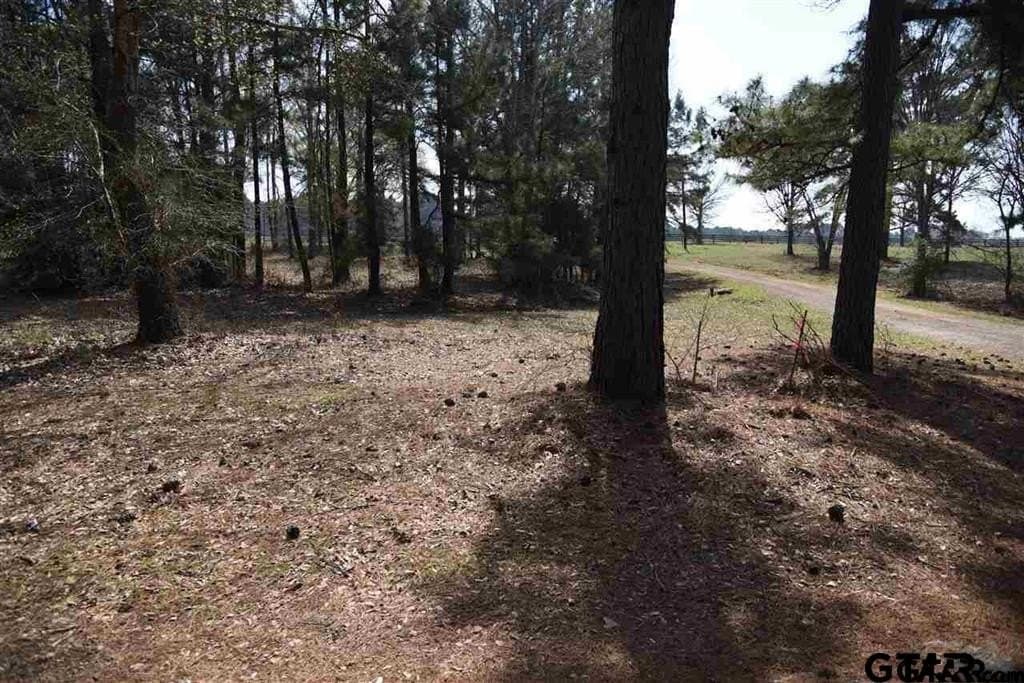 1.37 acres in Anderson County - photo 5