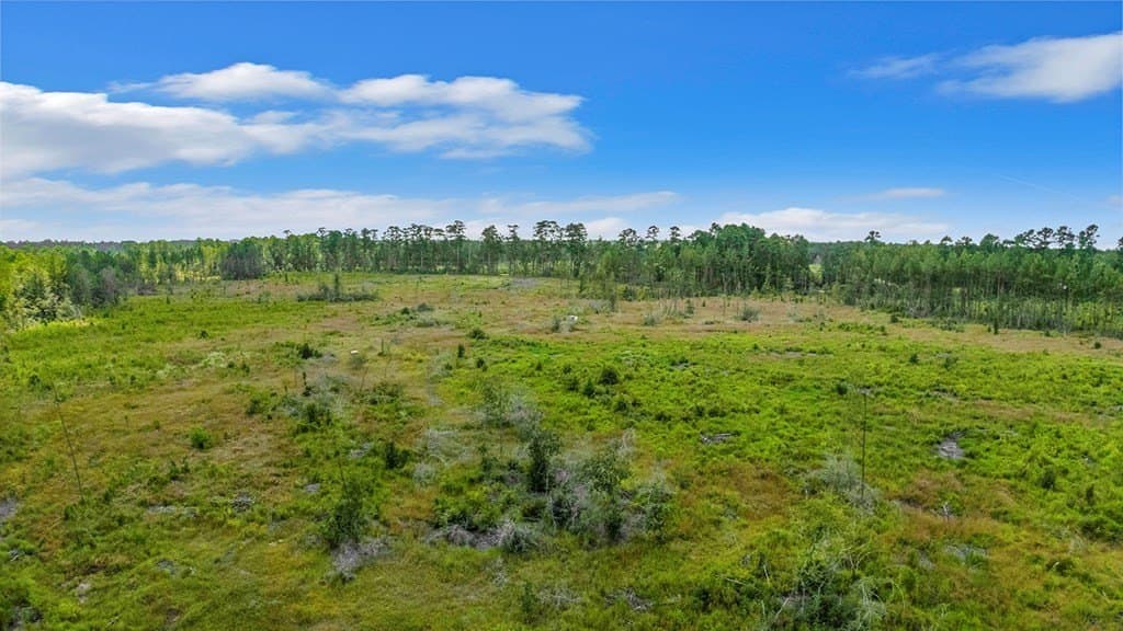 10 acres in Texas County - photo 3