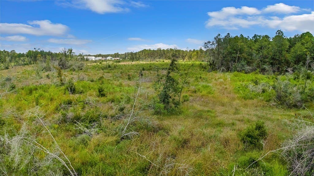10 acres in Texas County - photo 15