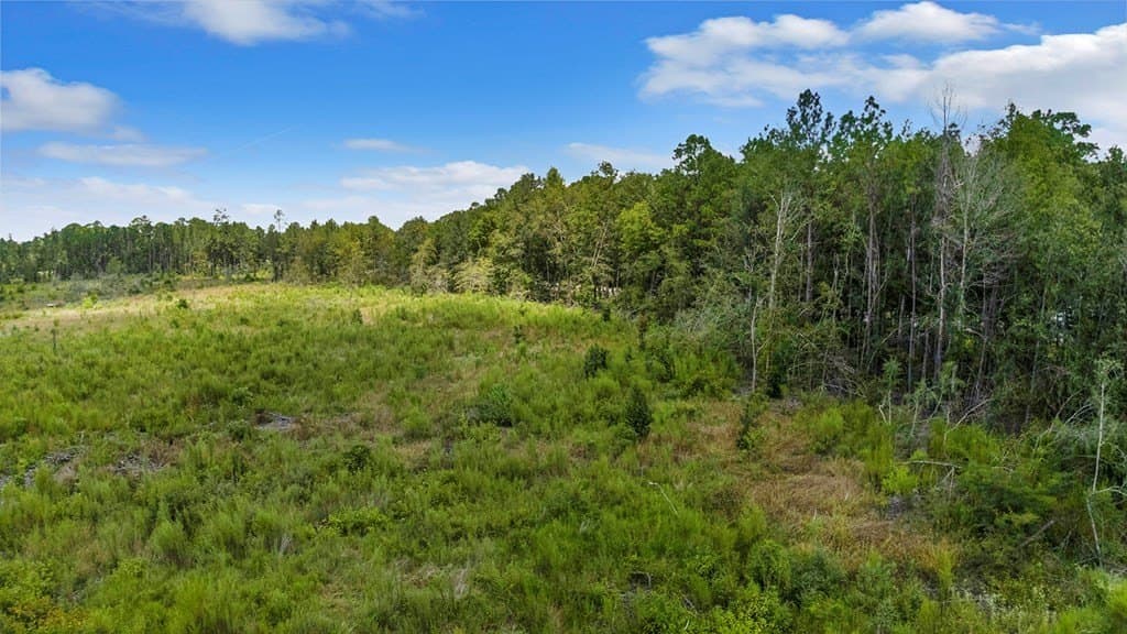 10 acres in Texas County - photo 16