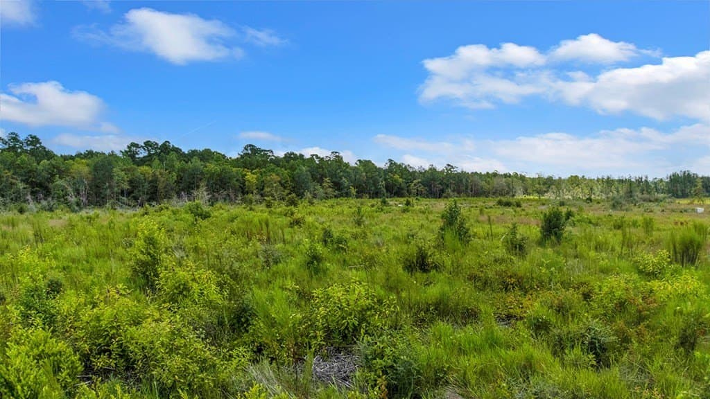 10 acres in Texas County - photo 4