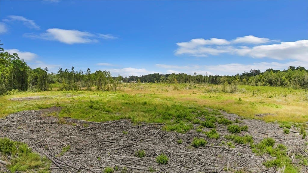 10 acres in Texas County - photo 8