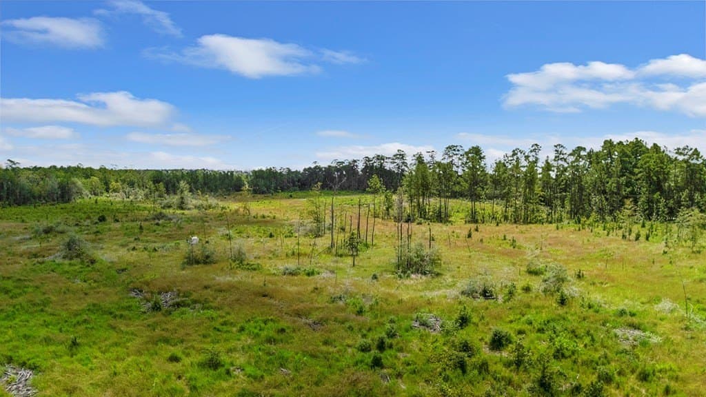 10 acres in Texas County - photo 6