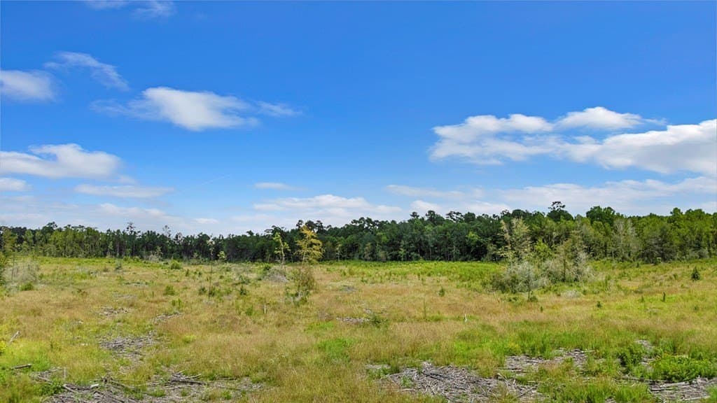 10 acres in Texas County - photo 7