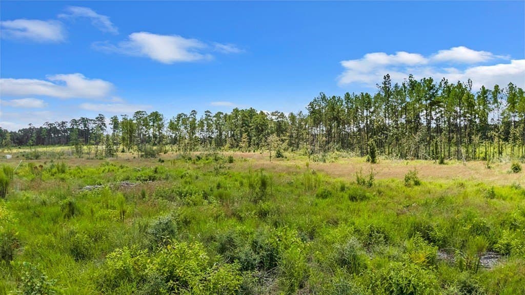 10 acres in Texas County - photo 5