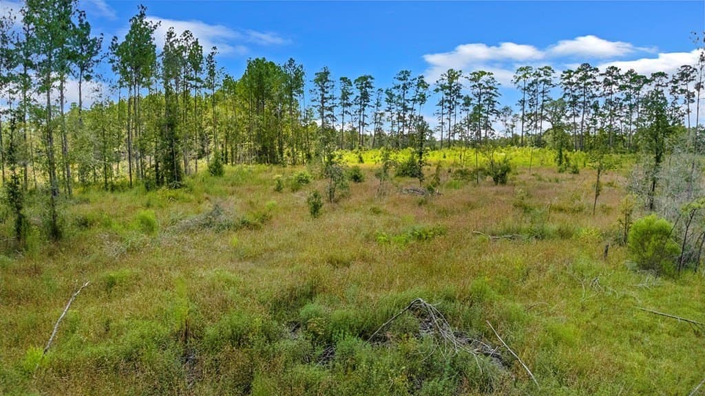 10 acres in Texas County - photo 13