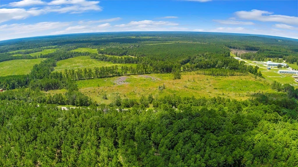 10 acres in Texas County - photo 17