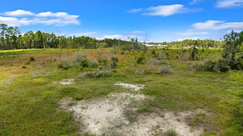 10 acres in Texas County - photo 14