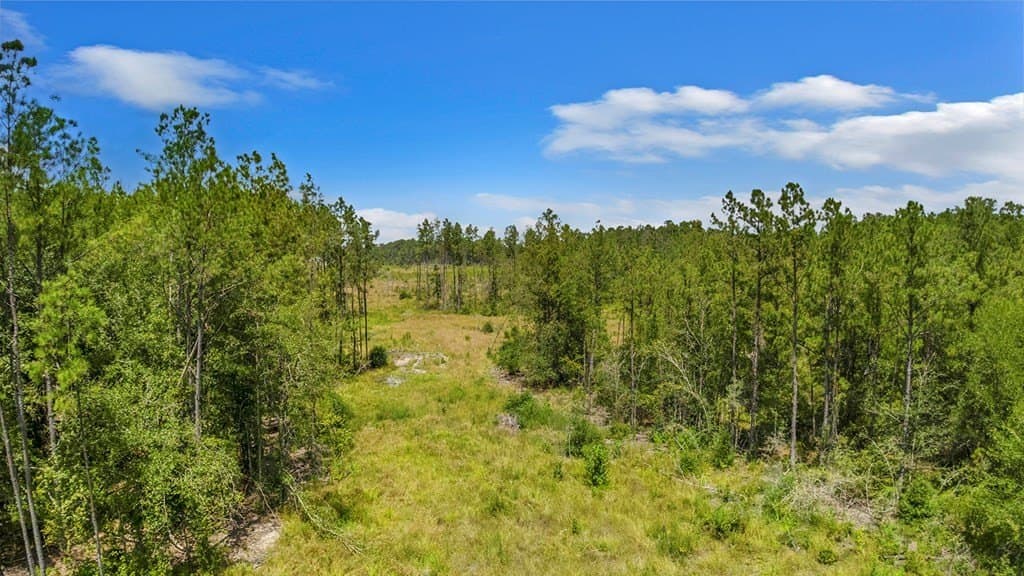 10 acres in Texas County - photo 10