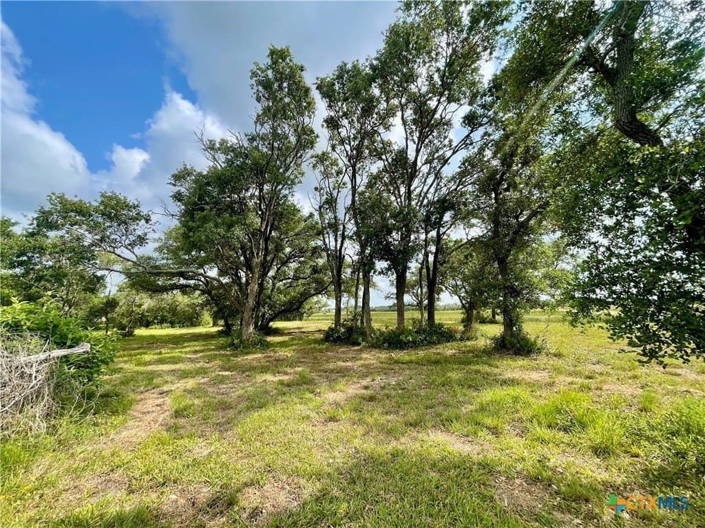 1.45 acres in Calhoun County - photo 3