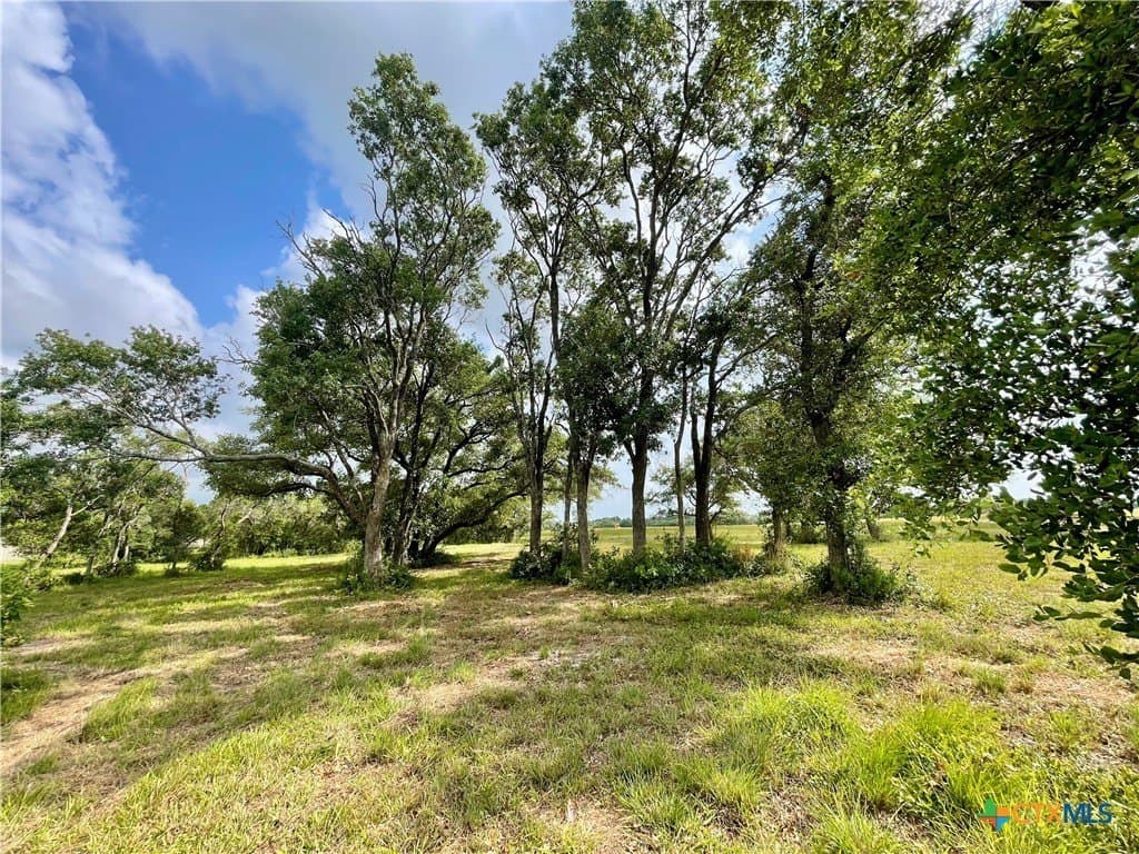 1.45 acres in Calhoun County - photo 5