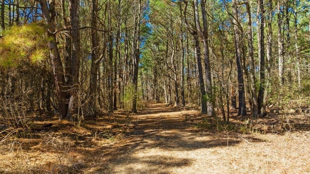 40 acres in Red River County - photo 22