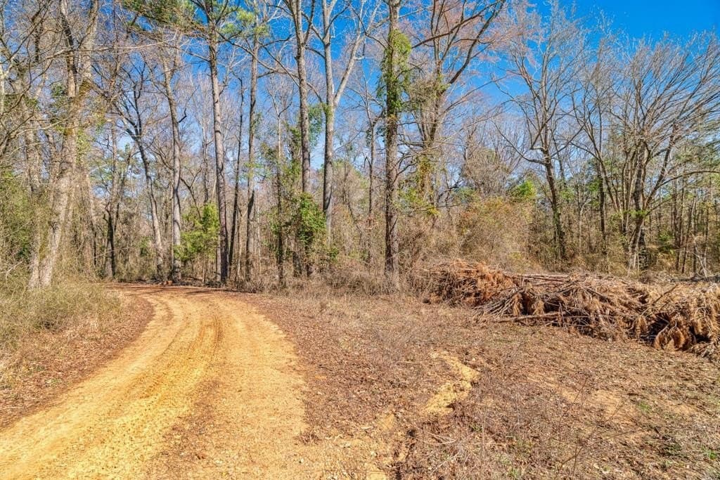 40 acres in Red River County - photo 28
