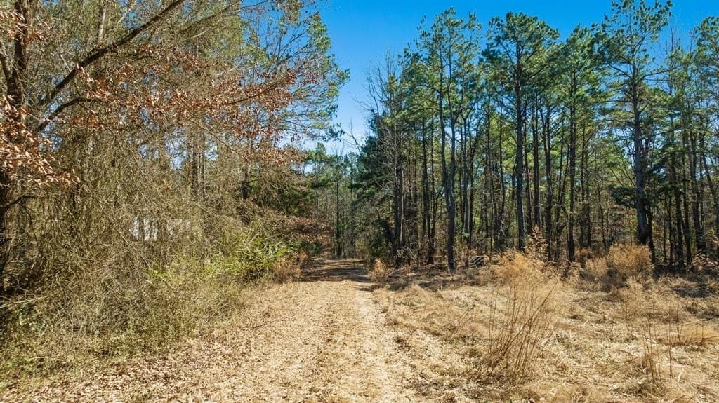 40 acres in Red River County - photo 23