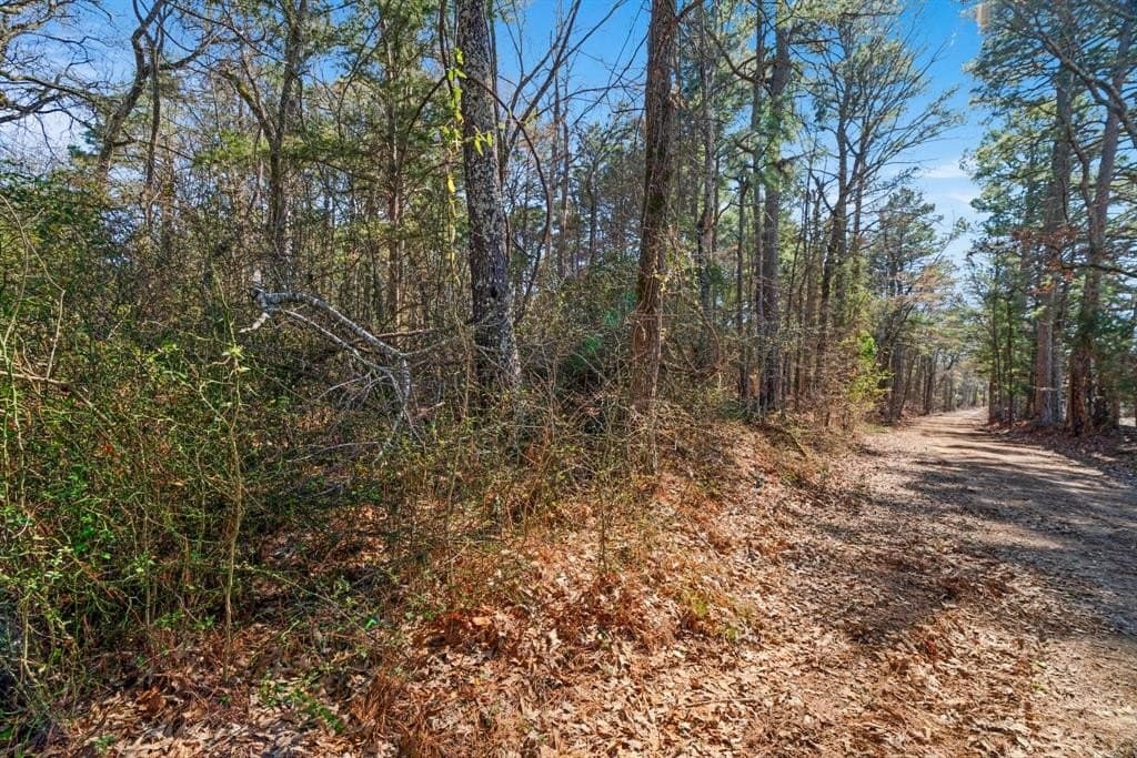 40 acres in Red River County - photo 27