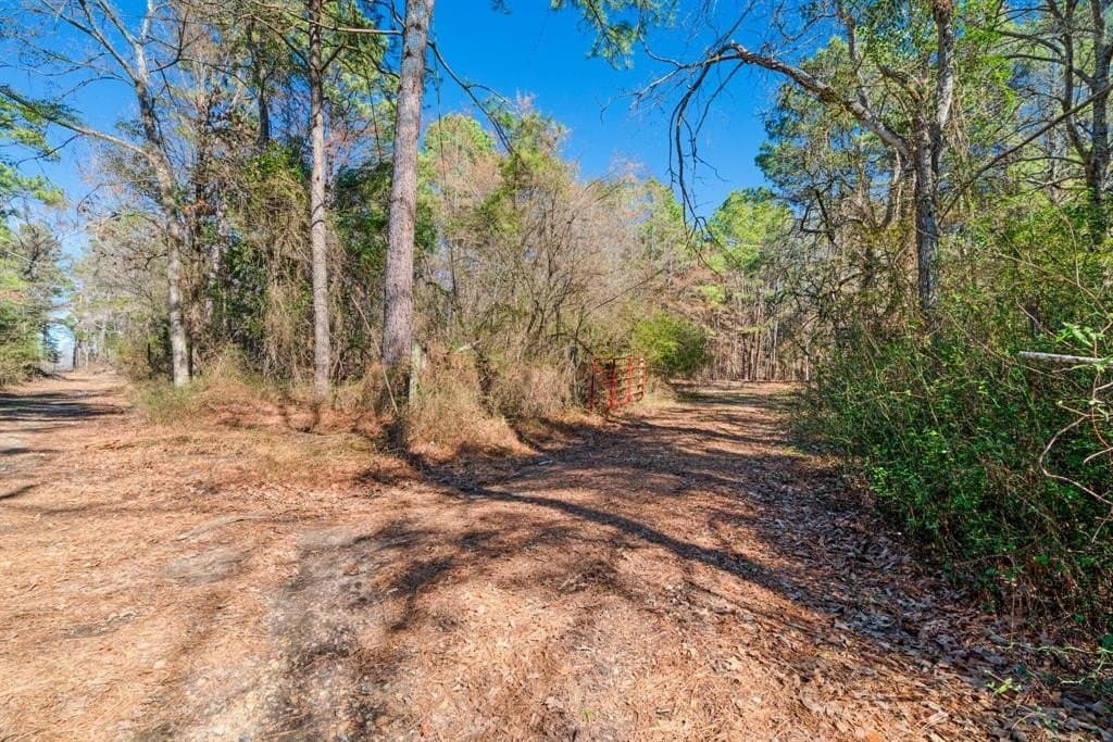 40 acres in Red River County - photo 26