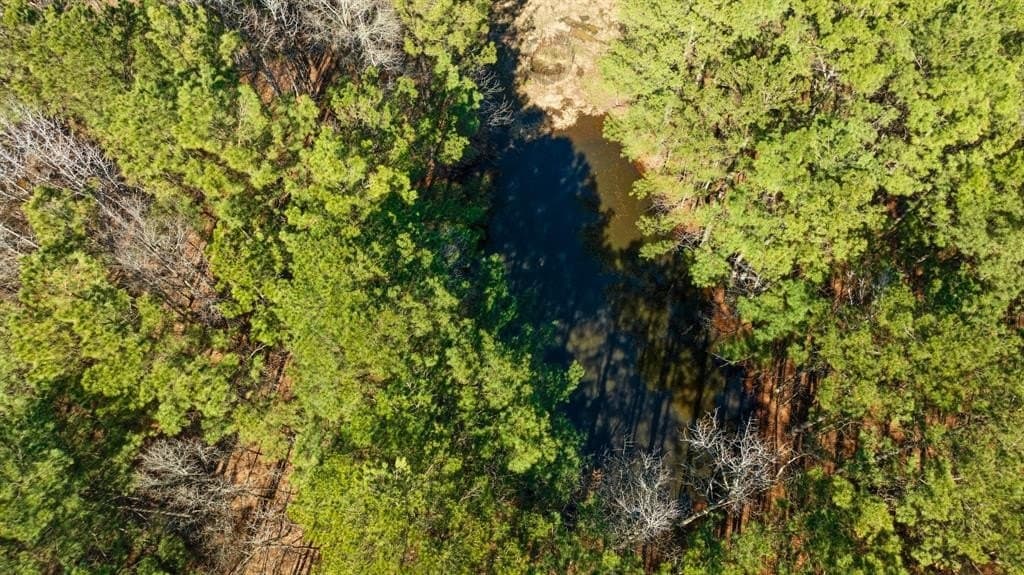 40 acres in Red River County - photo 18