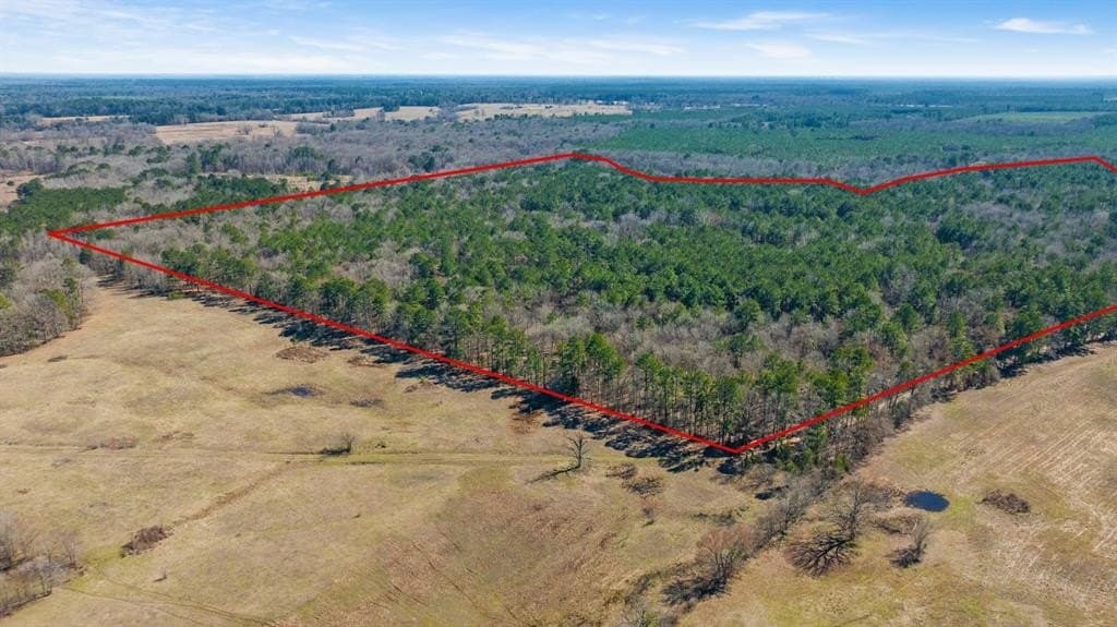 40 acres in Red River County - photo 8