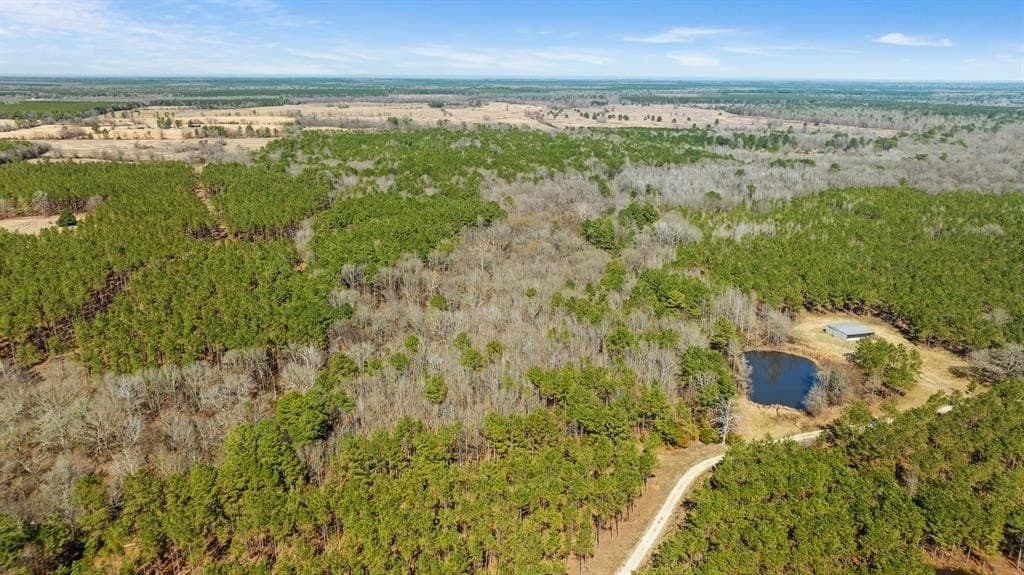 40 acres in Red River County - photo 16