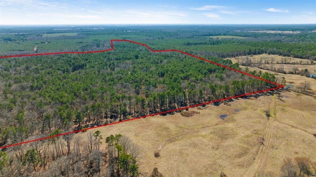 40 acres in Red River County - photo 10