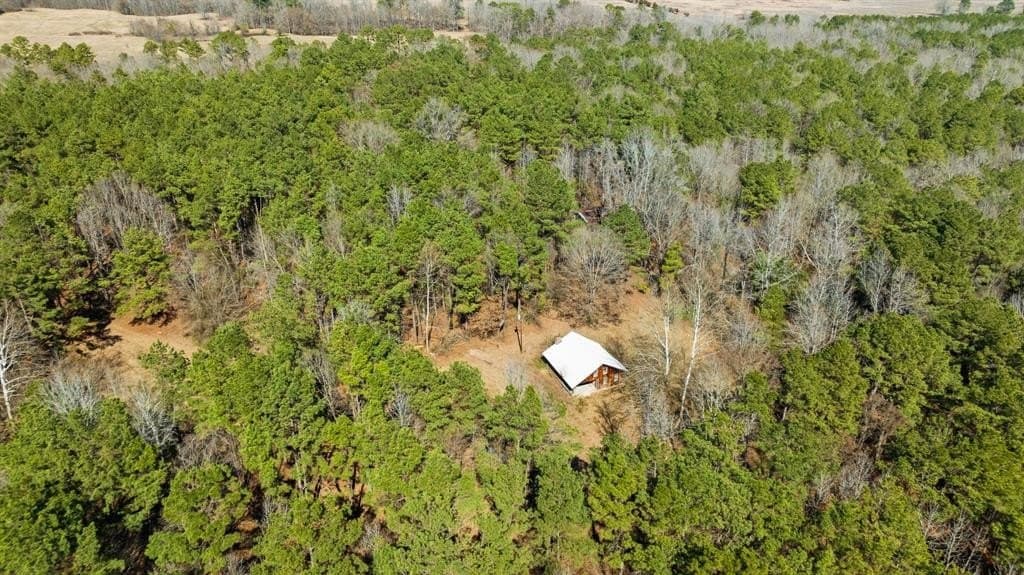 40 acres in Red River County - photo 5