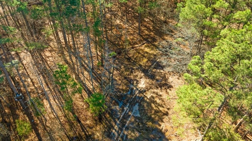 40 acres in Red River County - photo 14