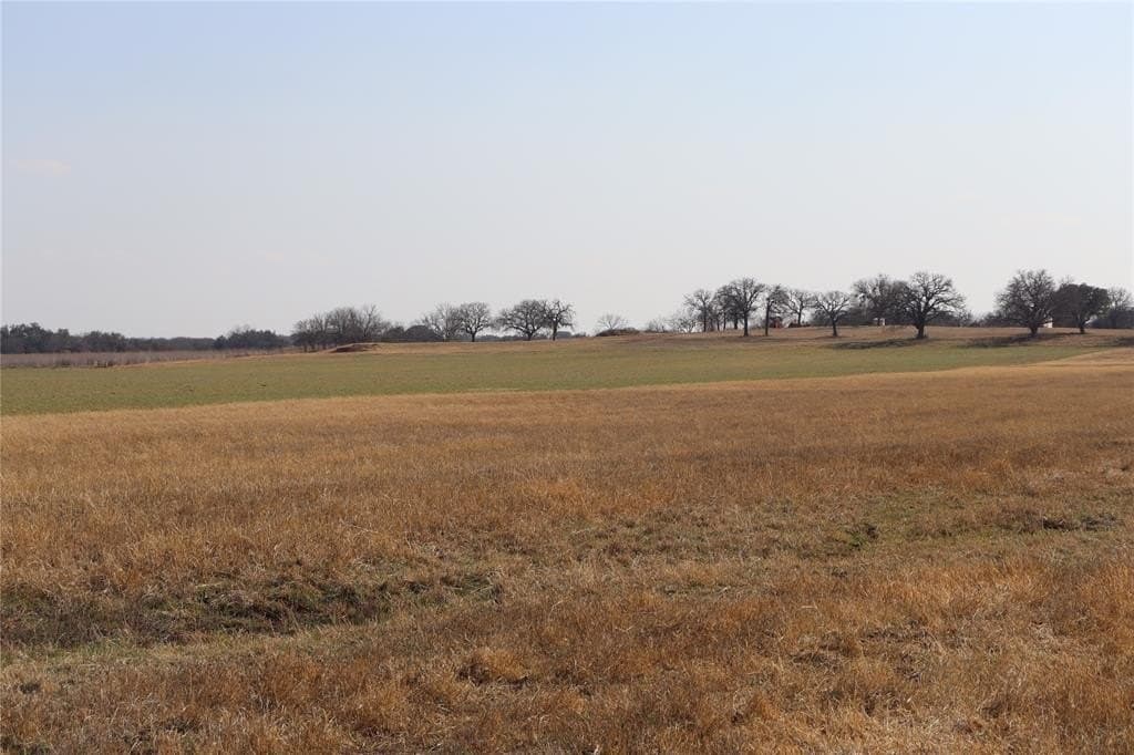 10.09 acres in Comanche County - photo 5