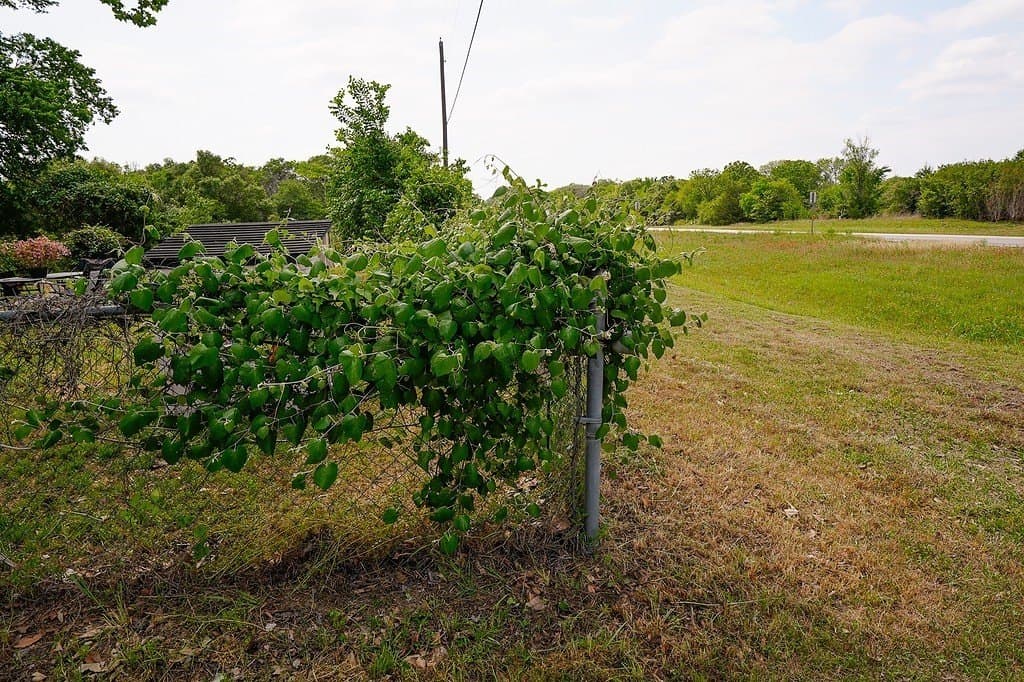 13.78 acres in Fayette County - photo 28