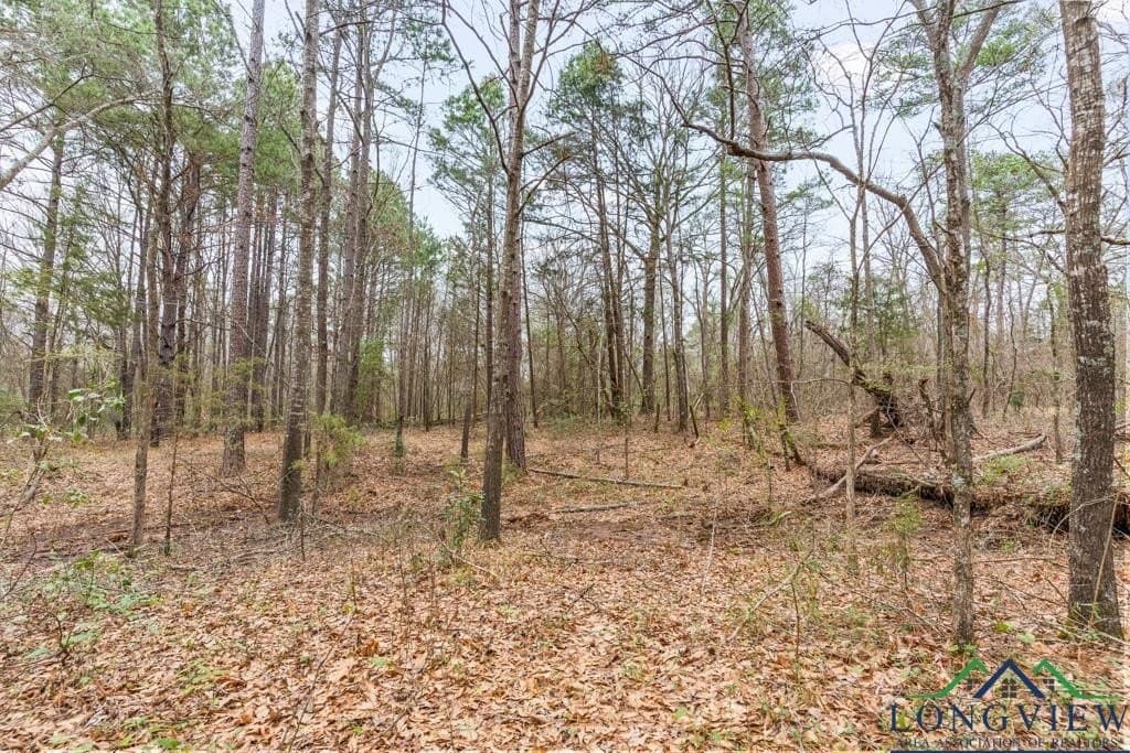 5.15 acres in Texas County - photo 17