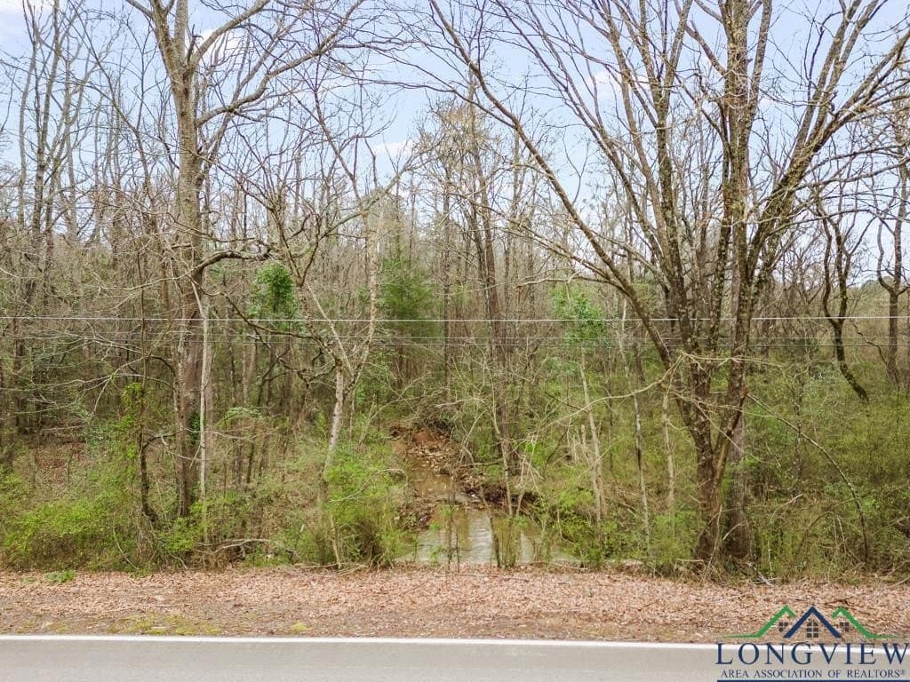 5.15 acres in Texas County - photo 7