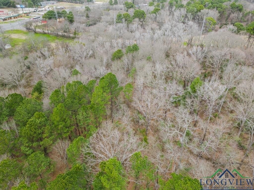 5.15 acres in Texas County - photo 9