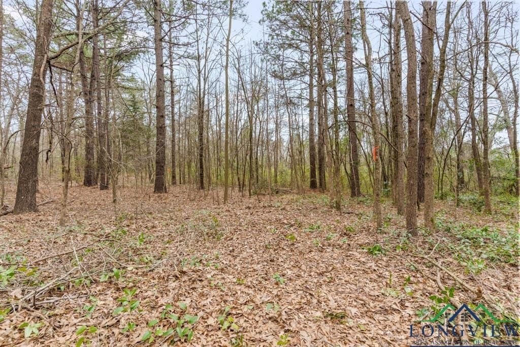 5.15 acres in Texas County - photo 16