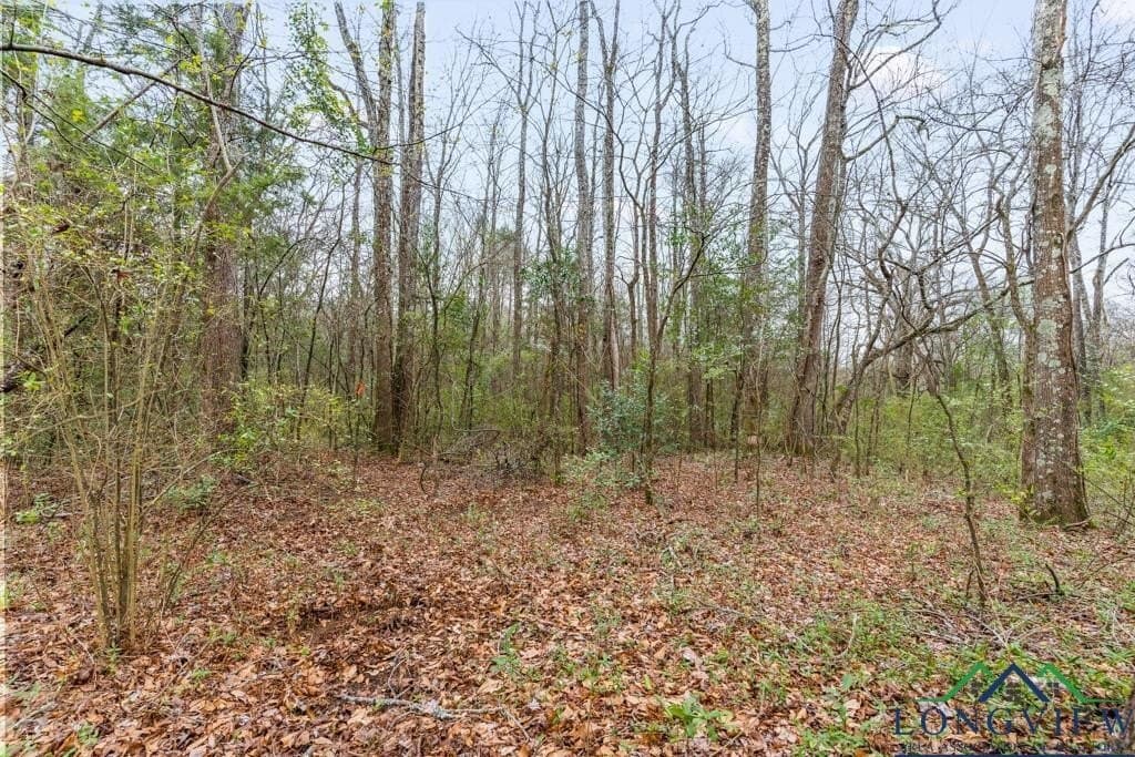 5.15 acres in Texas County - photo 11