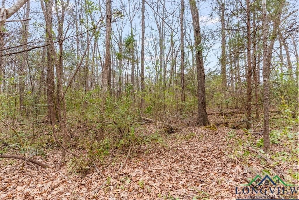 5.15 acres in Texas County - photo 14