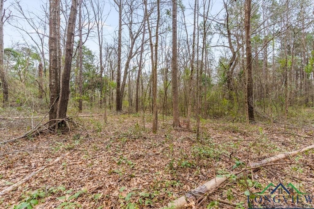 5.15 acres in Texas County - photo 15
