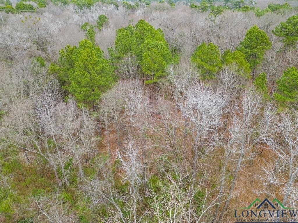 5.15 acres in Texas County - photo 19