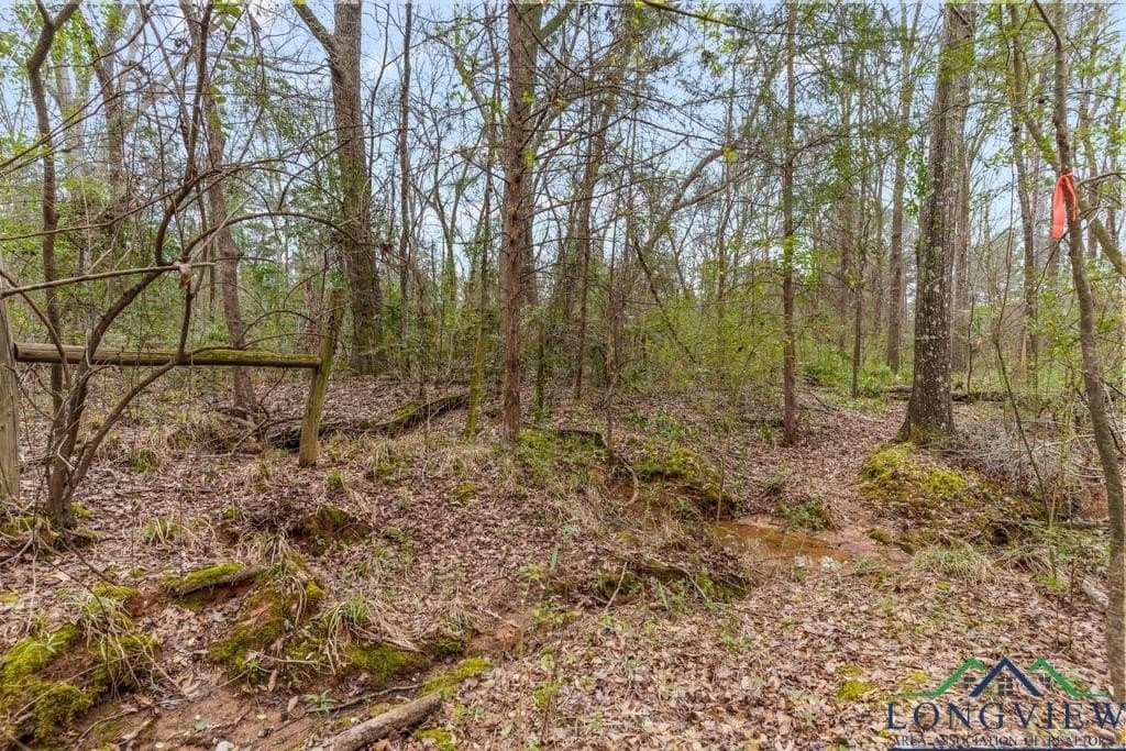 5.15 acres in Texas County - photo 12
