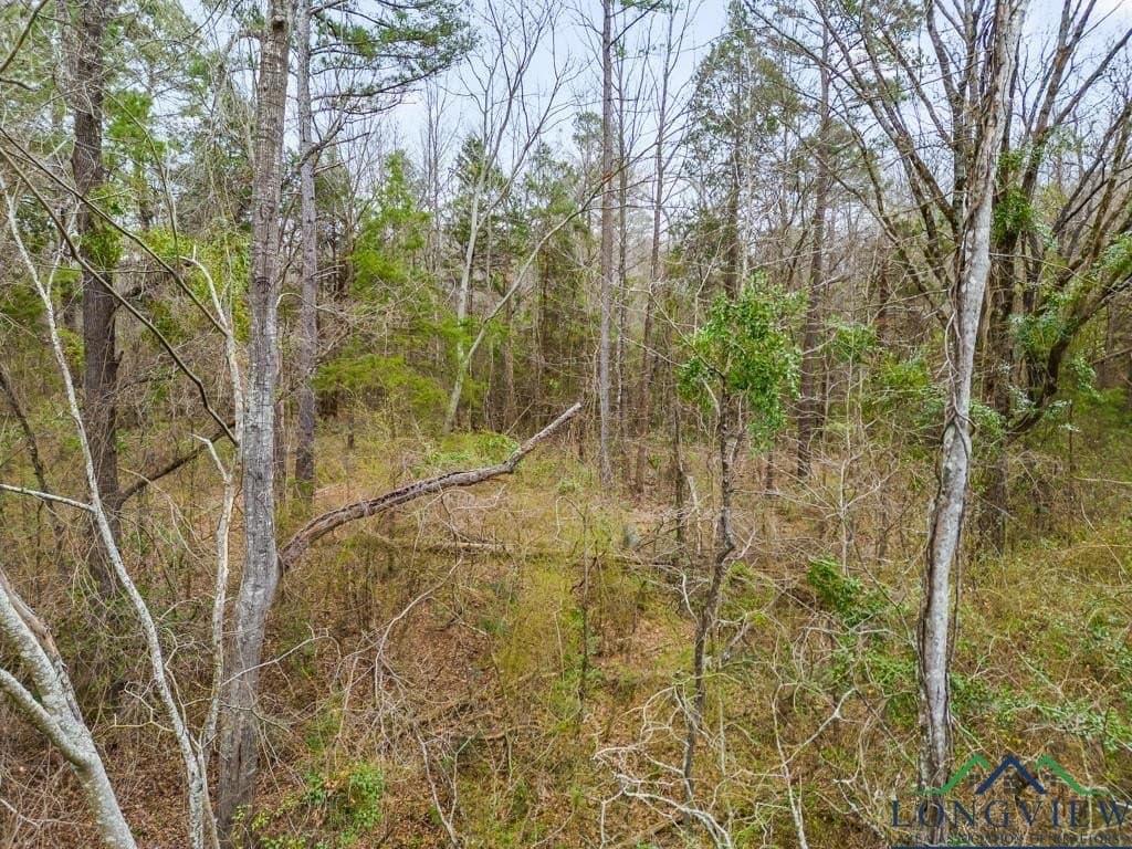 5.15 acres in Texas County - photo 8