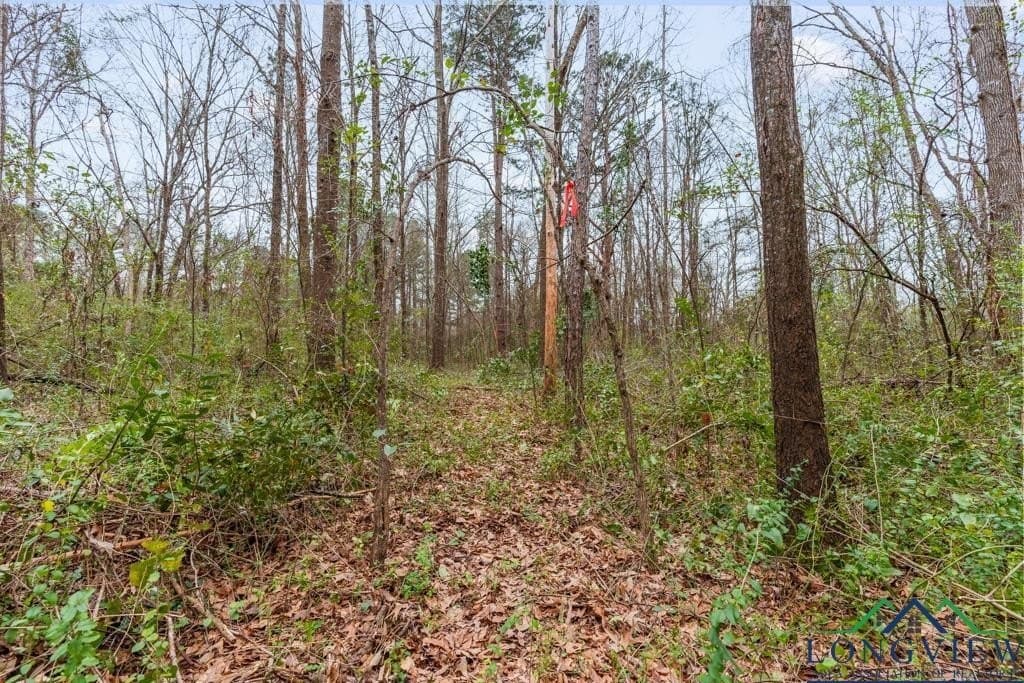 5.15 acres in Texas County - photo 13