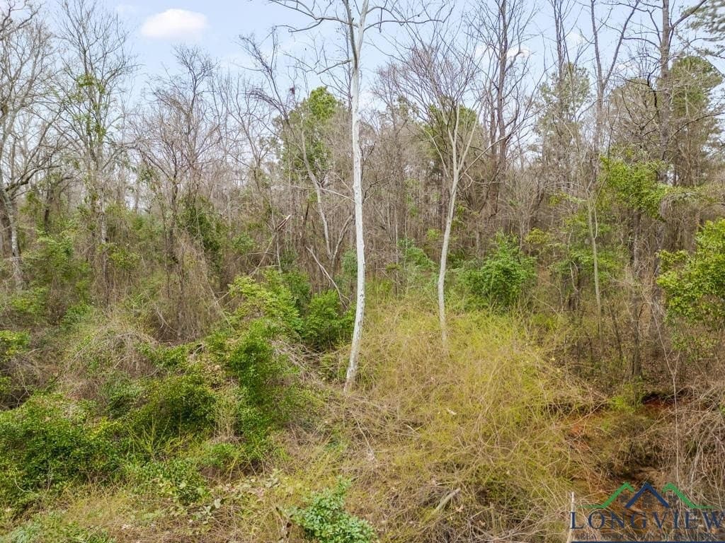 5.15 acres in Texas County - photo 18